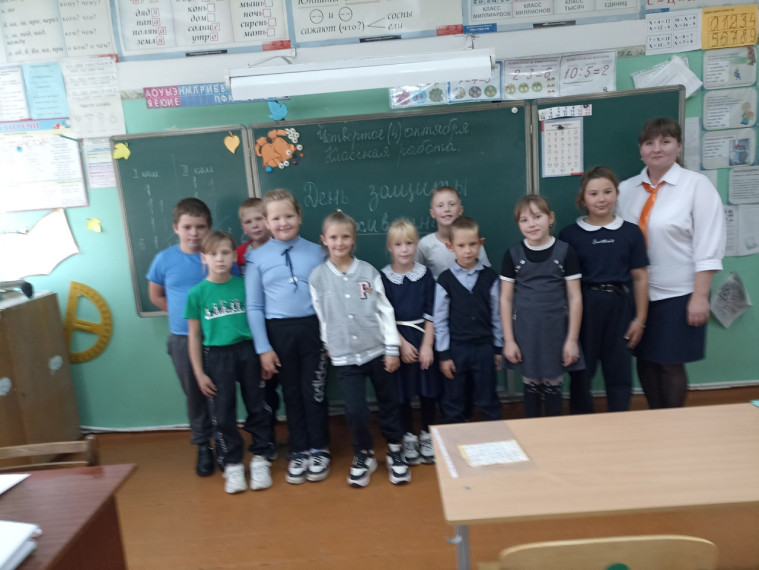 Всемирный день Защиты животных.